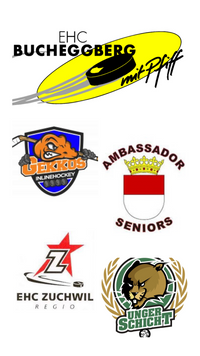 Inline-, Uni- und Eishockey